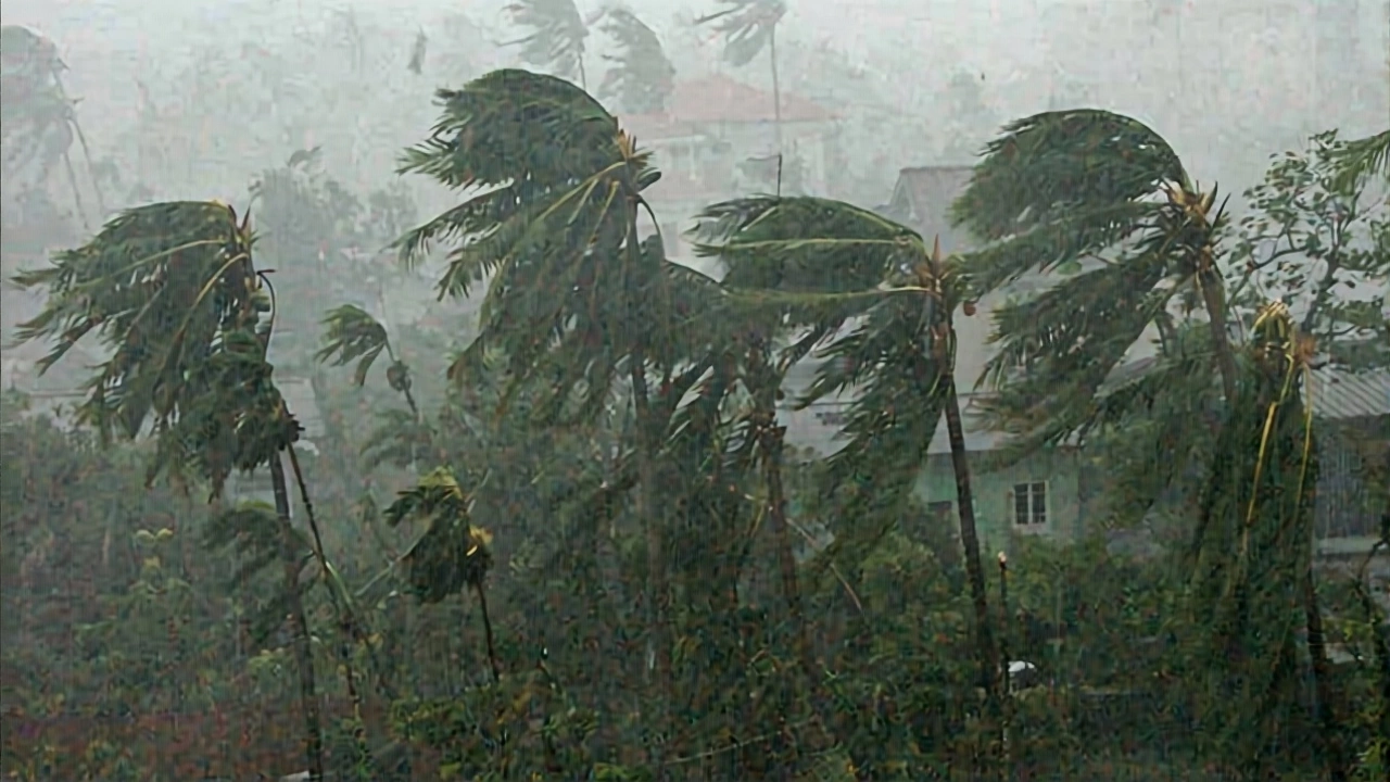 Health Risks Are Real—and Rising